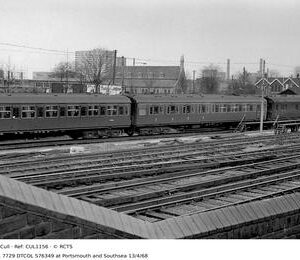 CUL1156