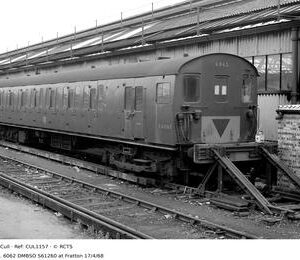 CUL1157