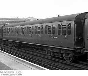CUL1172