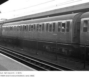 CUL1175