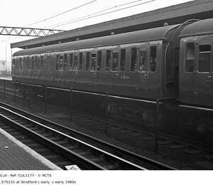 CUL1177