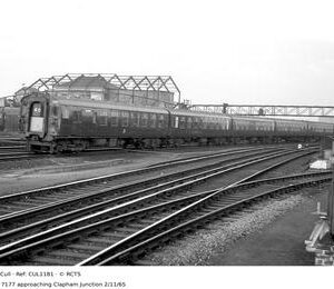 CUL1181