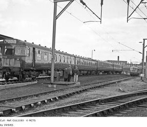 CUL1193