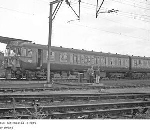 CUL1194