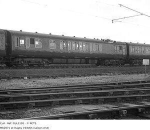 CUL1195
