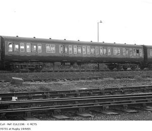 CUL1196