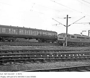 CUL1197
