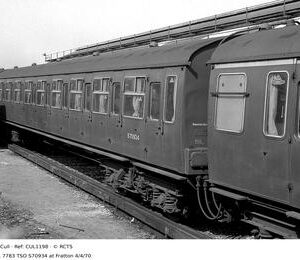 CUL1198