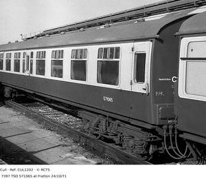 CUL1202
