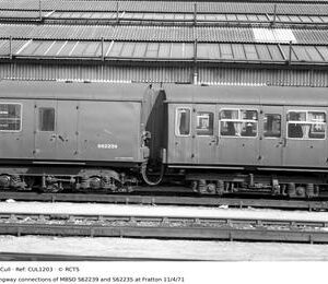 CUL1203