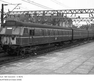 CUL1223