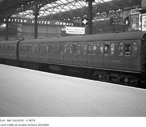 CUL1229