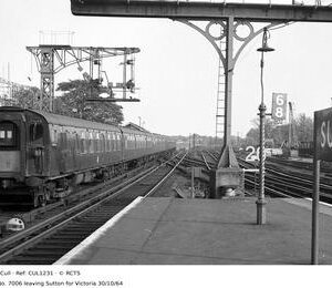 CUL1231