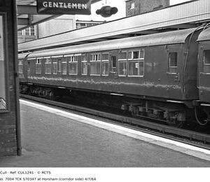 CUL1241