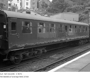 CUL1246
