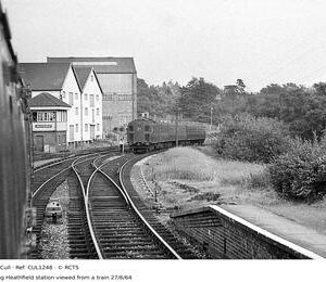 CUL1248