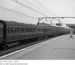 CUL1250