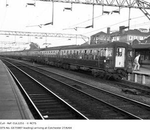 CUL1251