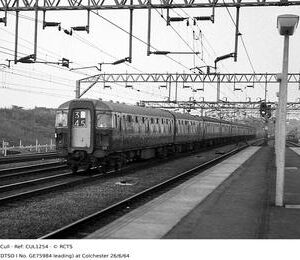 CUL1254