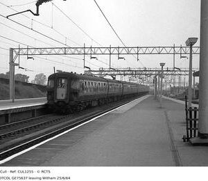 CUL1255