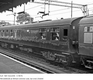CUL1256