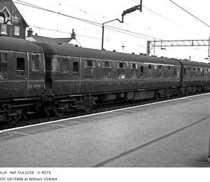 CUL1259