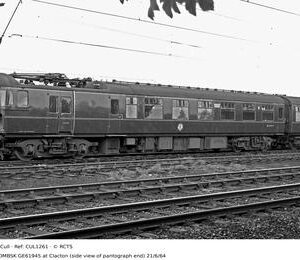 CUL1261