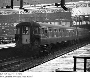 CUL1269