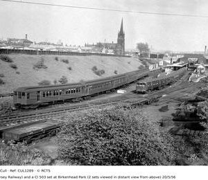 CUL1289
