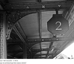 CUL1293