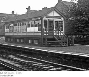 CUL1296