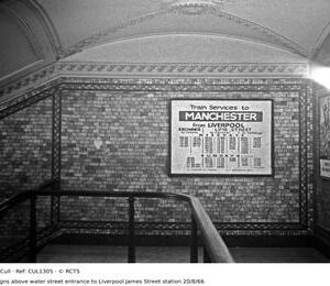 CUL1305