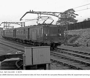 CUL1339