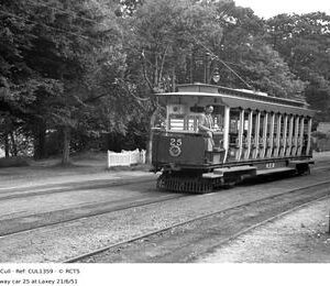 CUL1359