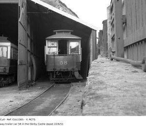 CUL1365