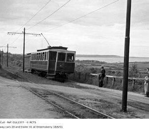 CUL1377