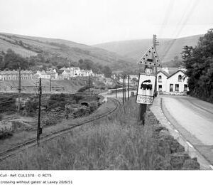 CUL1378