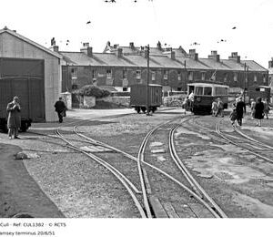 CUL1382