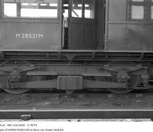 CUL1429