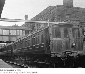 CUL1436