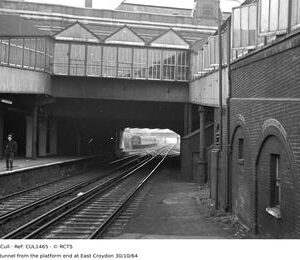 CUL1465