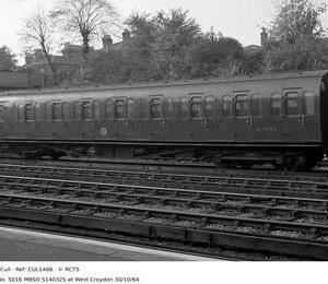 CUL1466