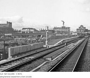 CUL1495