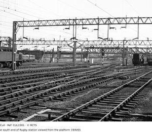 CUL1501