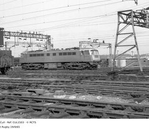 CUL1503