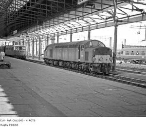 CUL1505