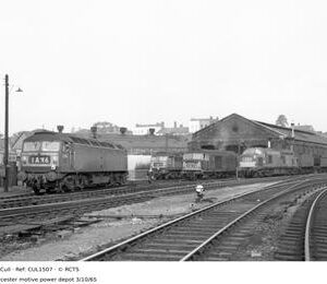 CUL1507