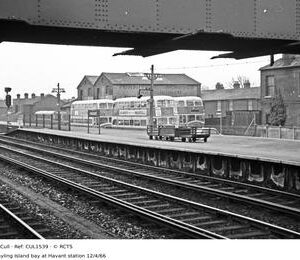 CUL1539