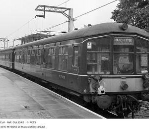 CUL1542