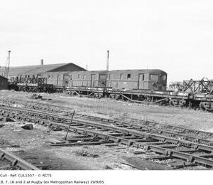 CUL1557